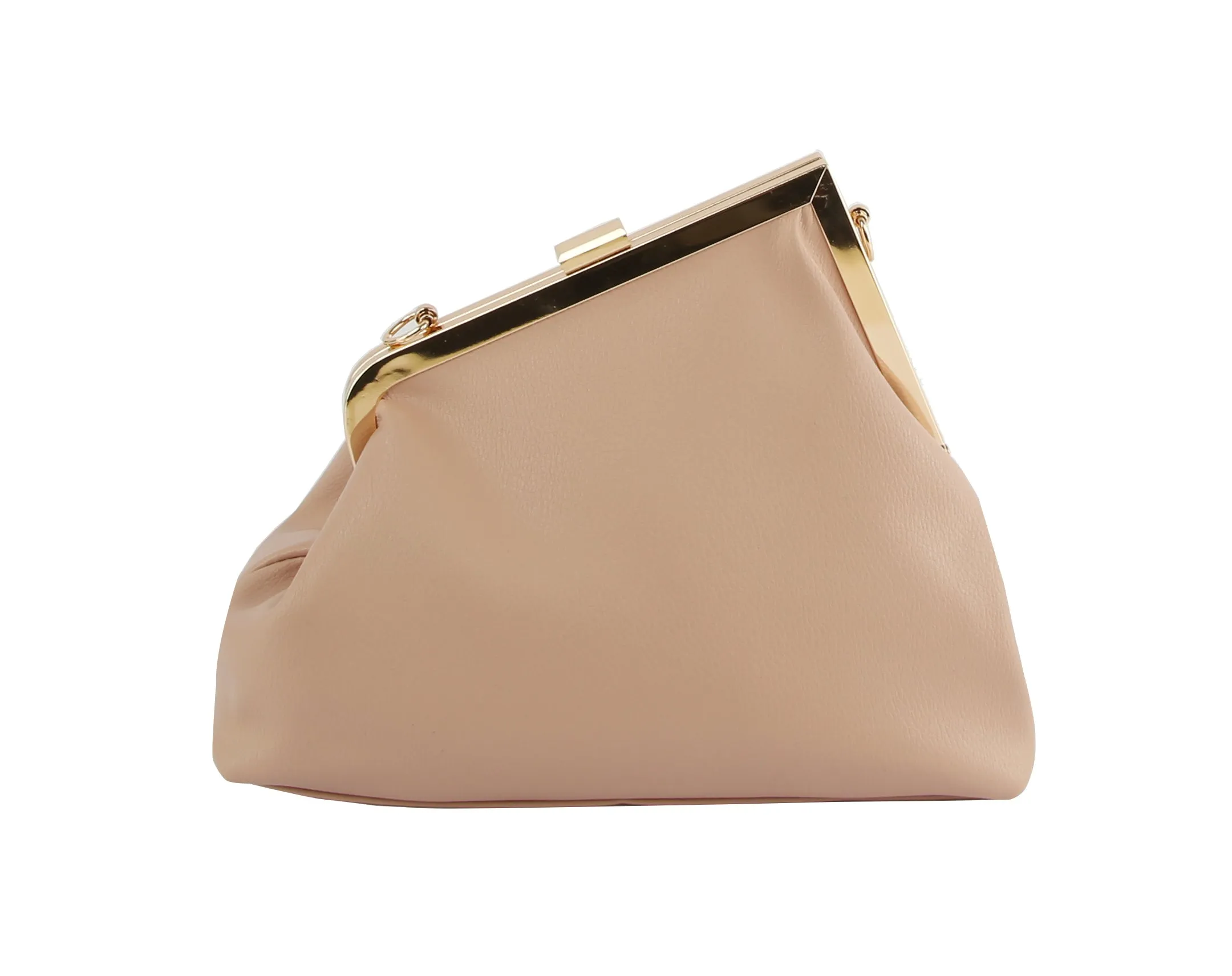 Evening Clutch Purse Crossbody Bag