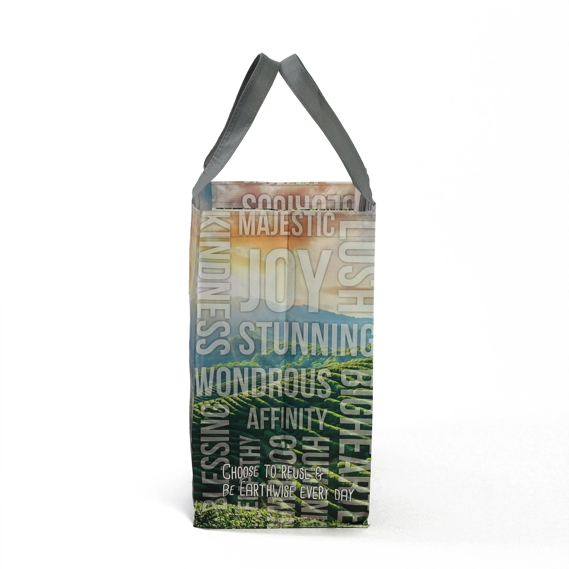 Everyday Medium Tote in Joy