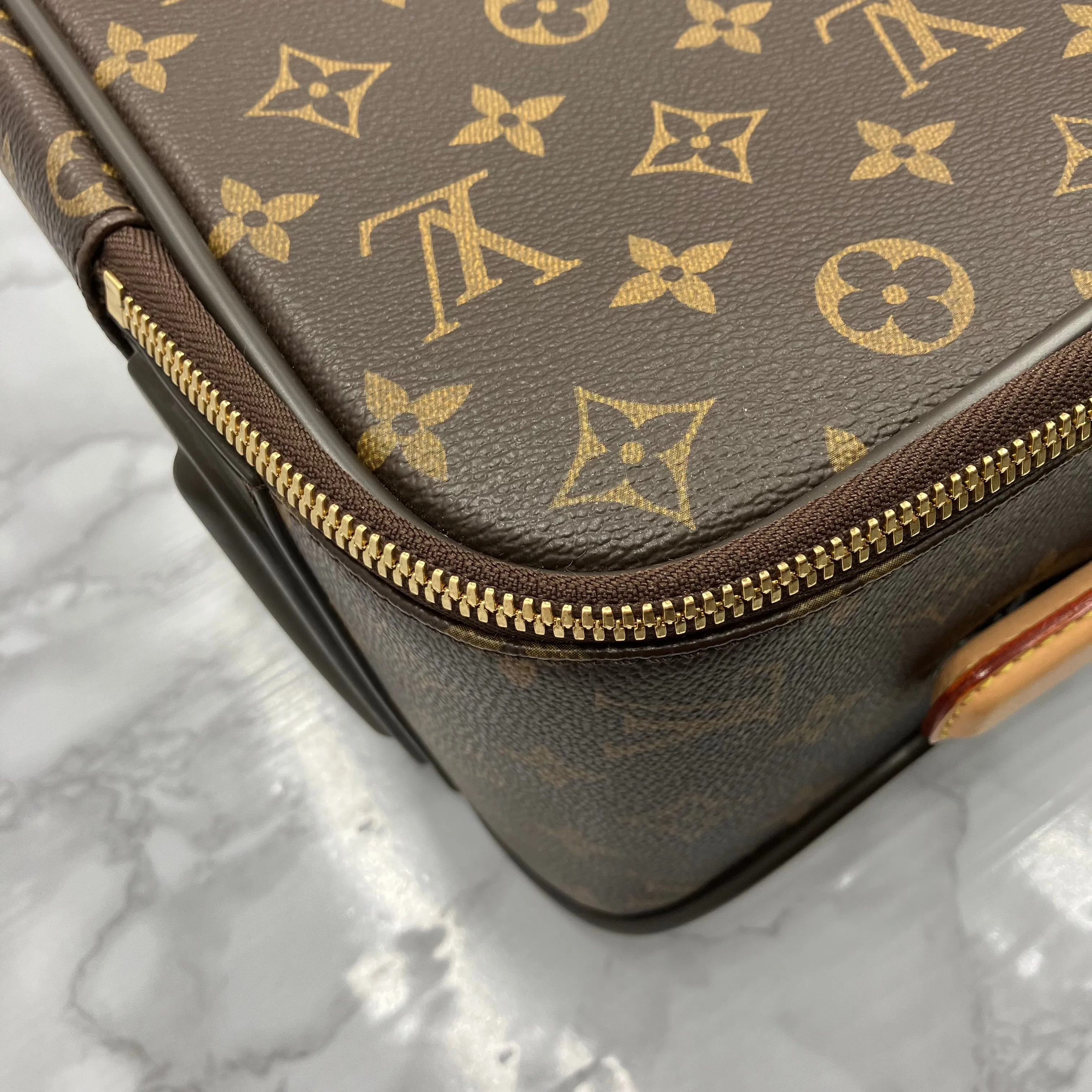 LOUIS VUITTON Monogram Pegase55